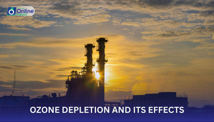 Lesson 09: Ozone Depletion and Its Effects